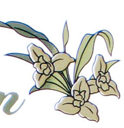 Ron Zacapa Flower